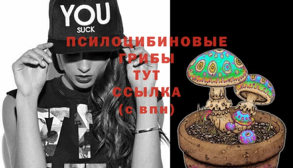 стафф Балахна