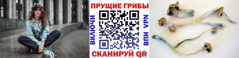 kraken ТОР  Нижняя Салда  Галлюциногенные грибы мицелий  купить наркоту 